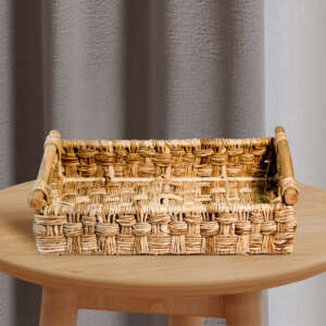 Water hyacinth Tray with cane handle